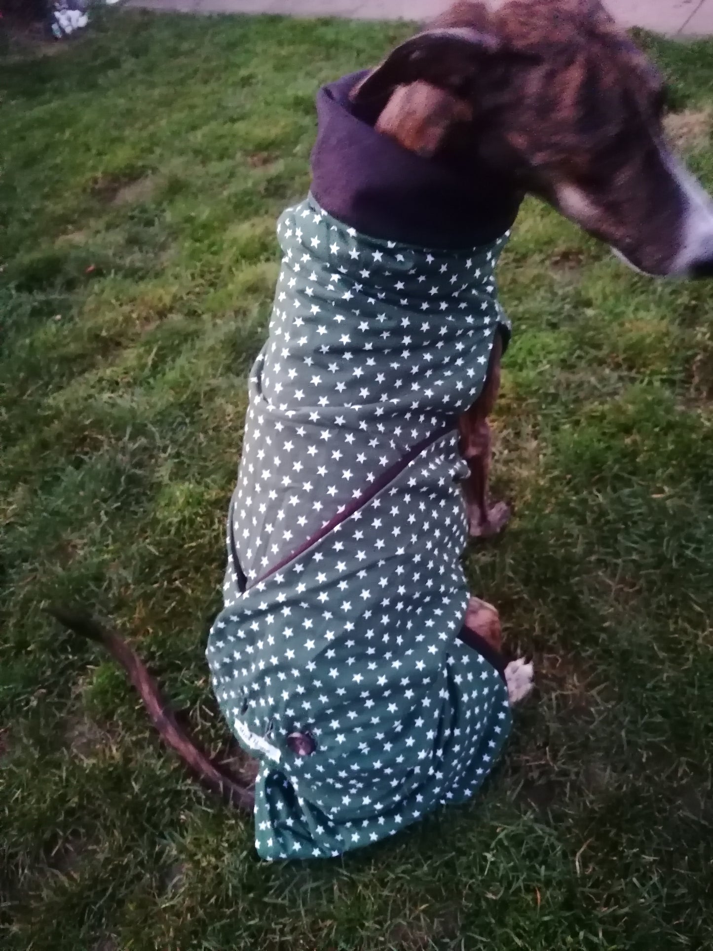 Stoff und Fleecemantel grünes Sternchen Größe M/L