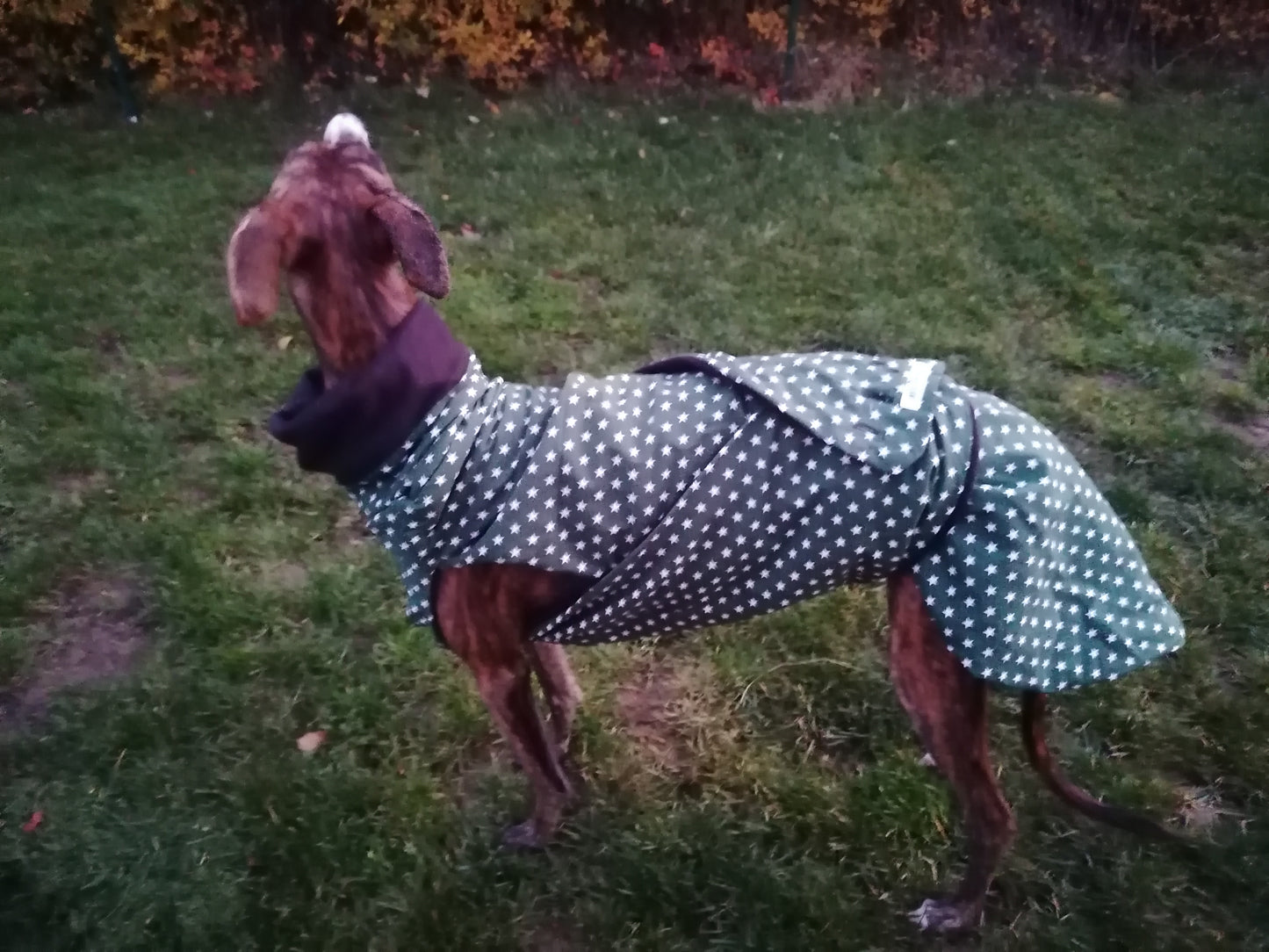 Stoff und Fleecemantel grünes Sternchen Größe M/L