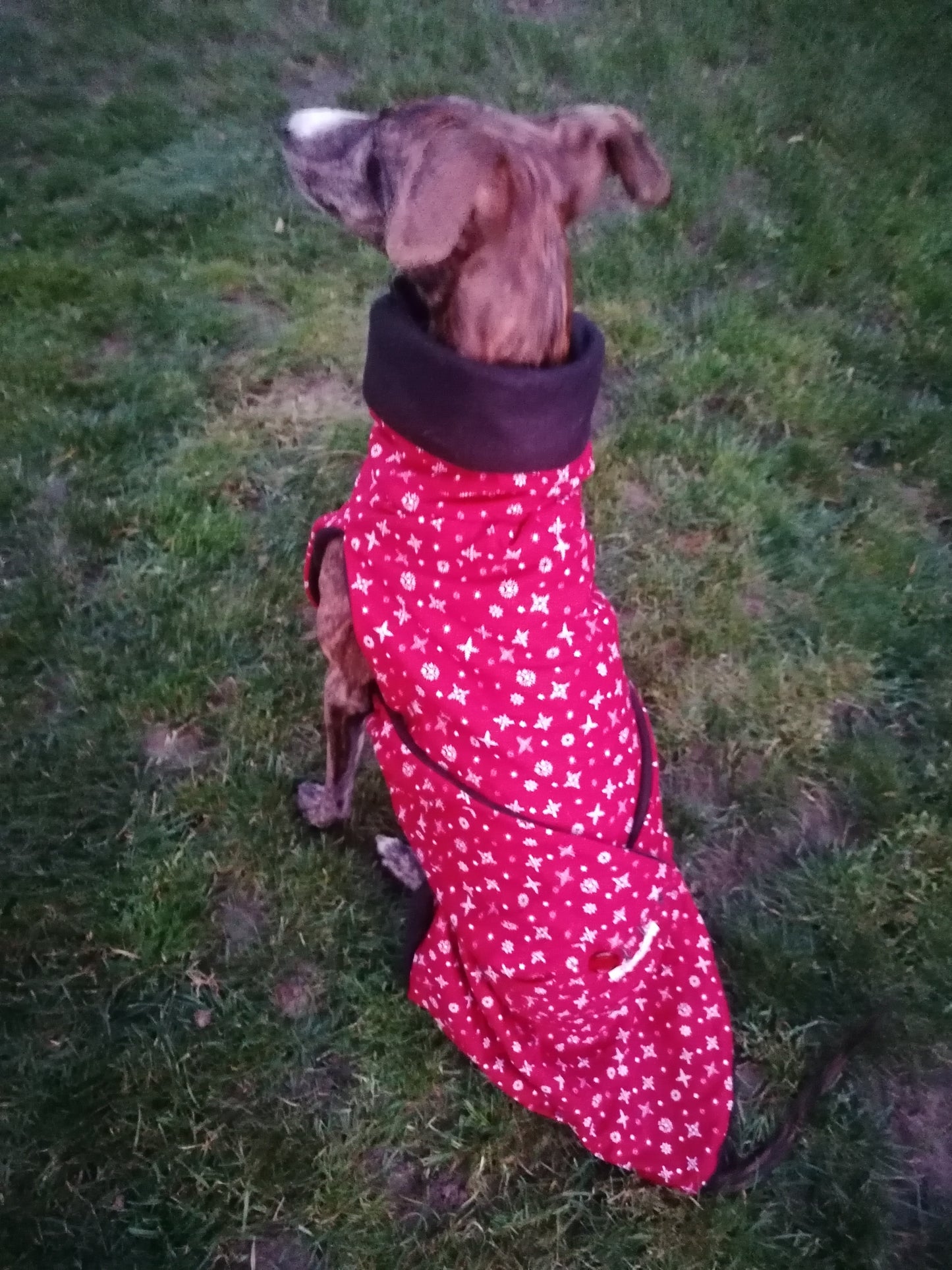 Weihnachtsmantel Schneeflöckchen