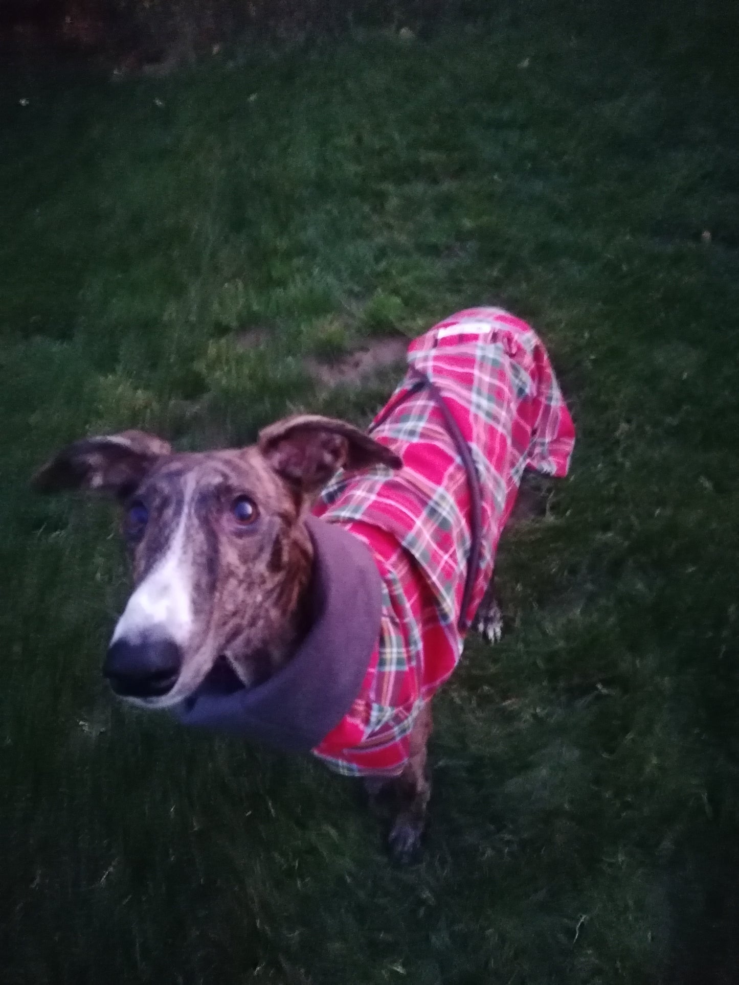 Weihnachtsmantel klassisch Rot Kariert