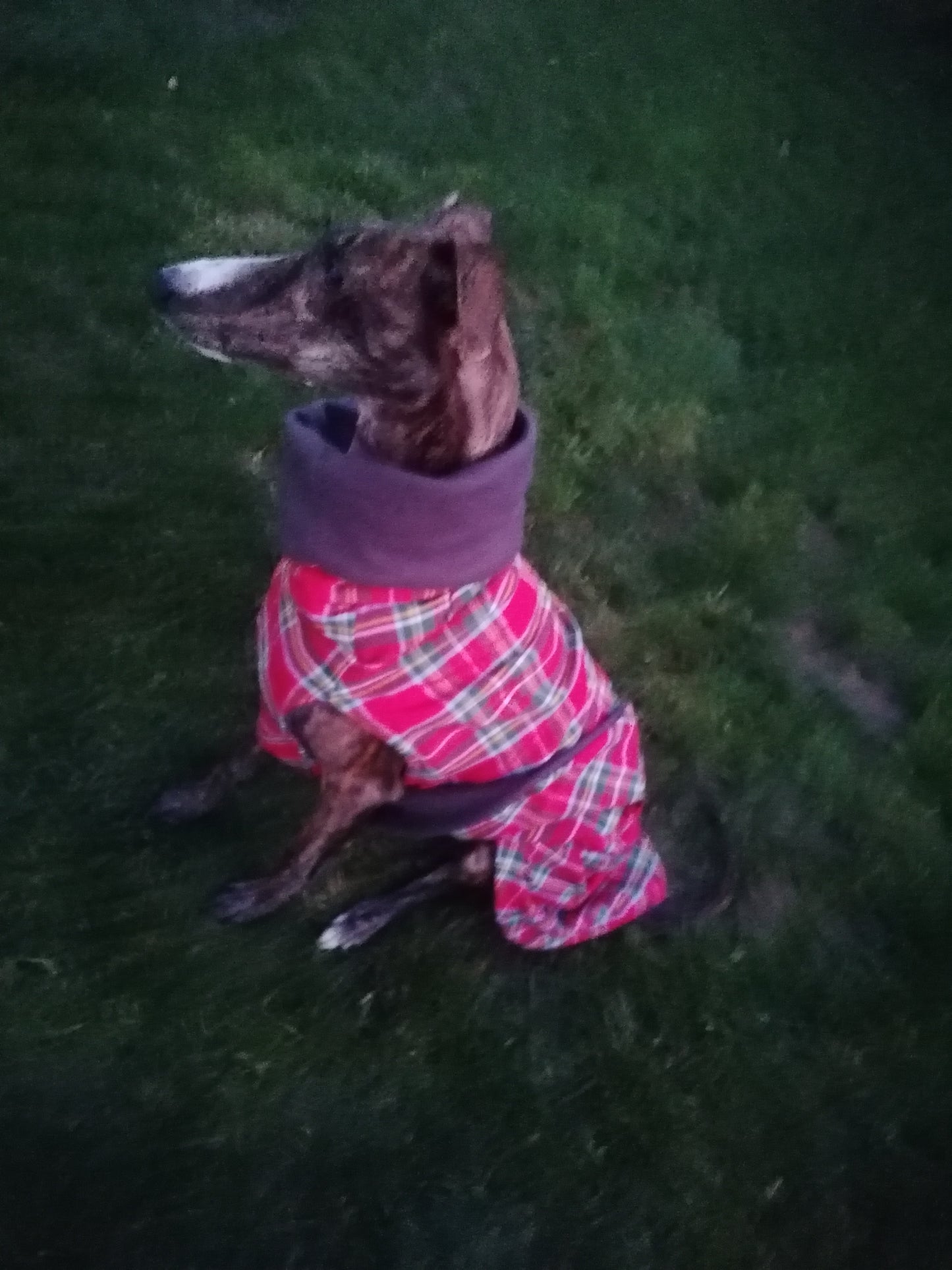 Stoff und Fleece Mäntelchen Karo größe M/L