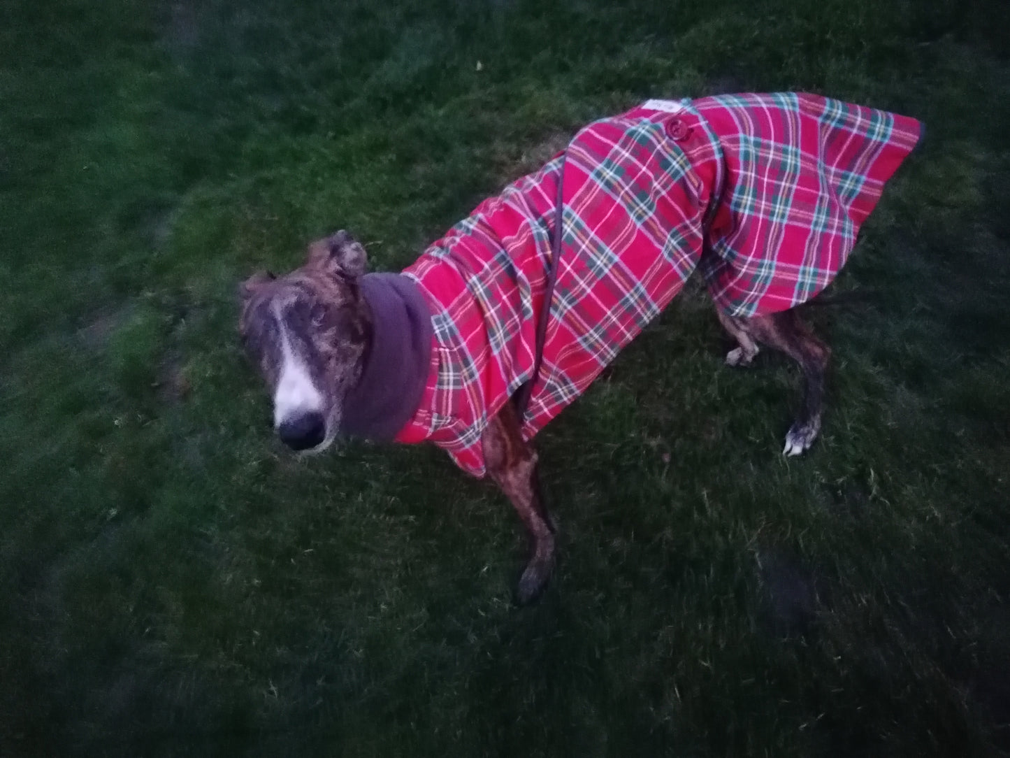 Stoff und Fleece Mäntelchen Karo größe M/L