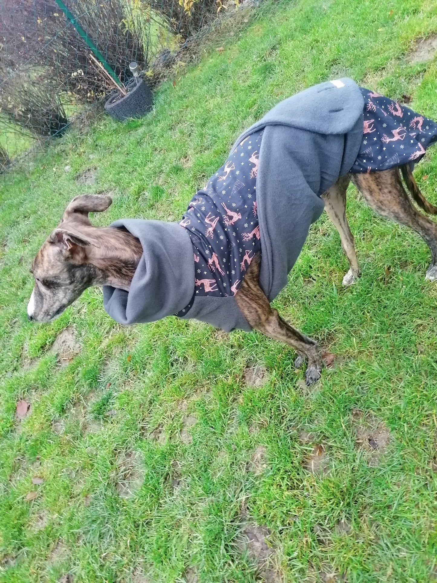 Weihnachtsmantel mit Sternen und Rose goldenen Rentiere