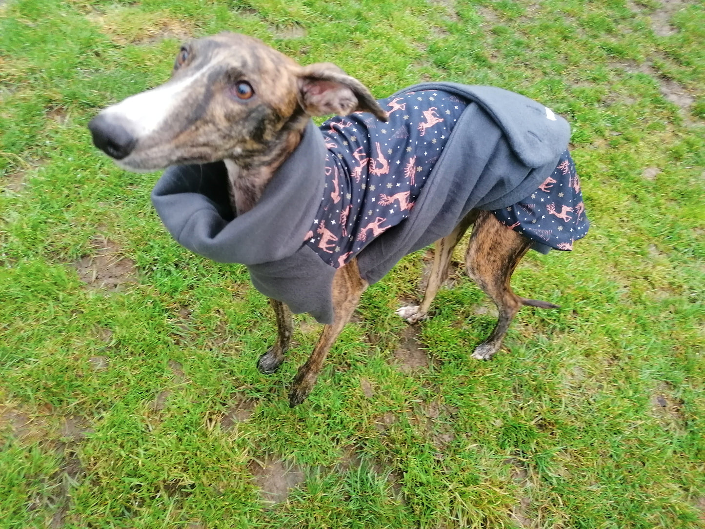 Weihnachtsmantel mit Sternen und Rose goldenen Rentiere