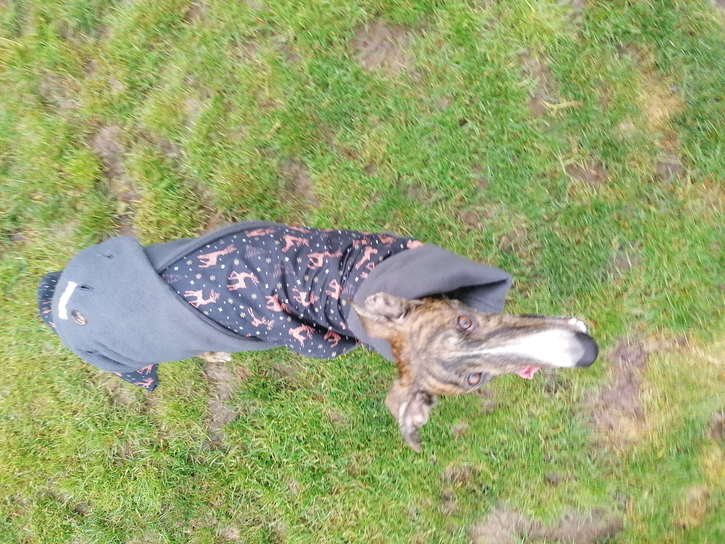 Weihnachtsmantel mit Sternen und Rose goldenen Rentiere