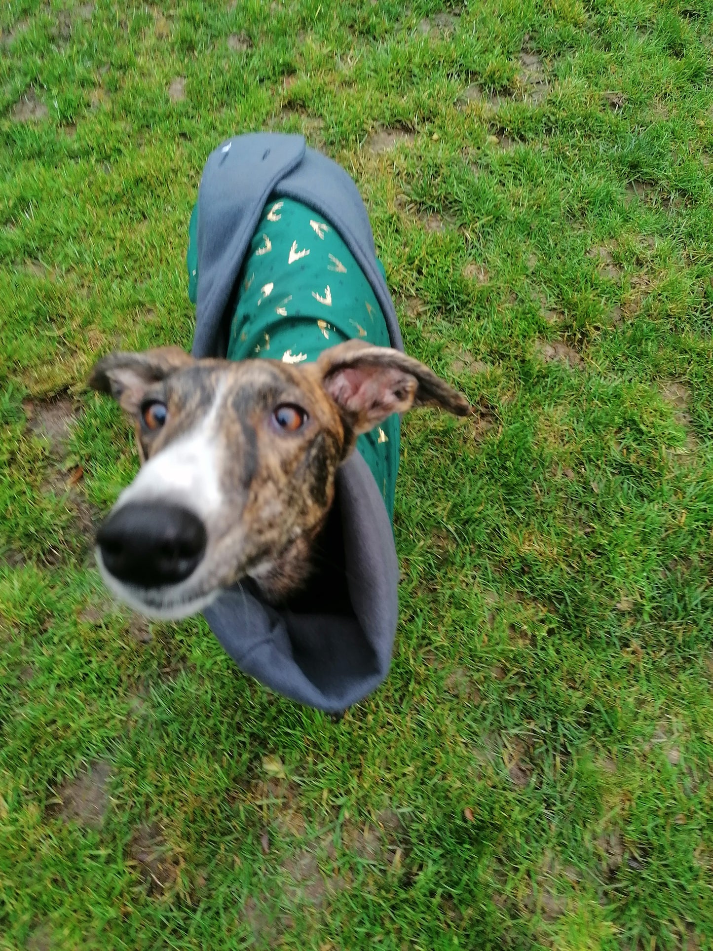 Weihnachtsmantel mit goldenen Hirschen