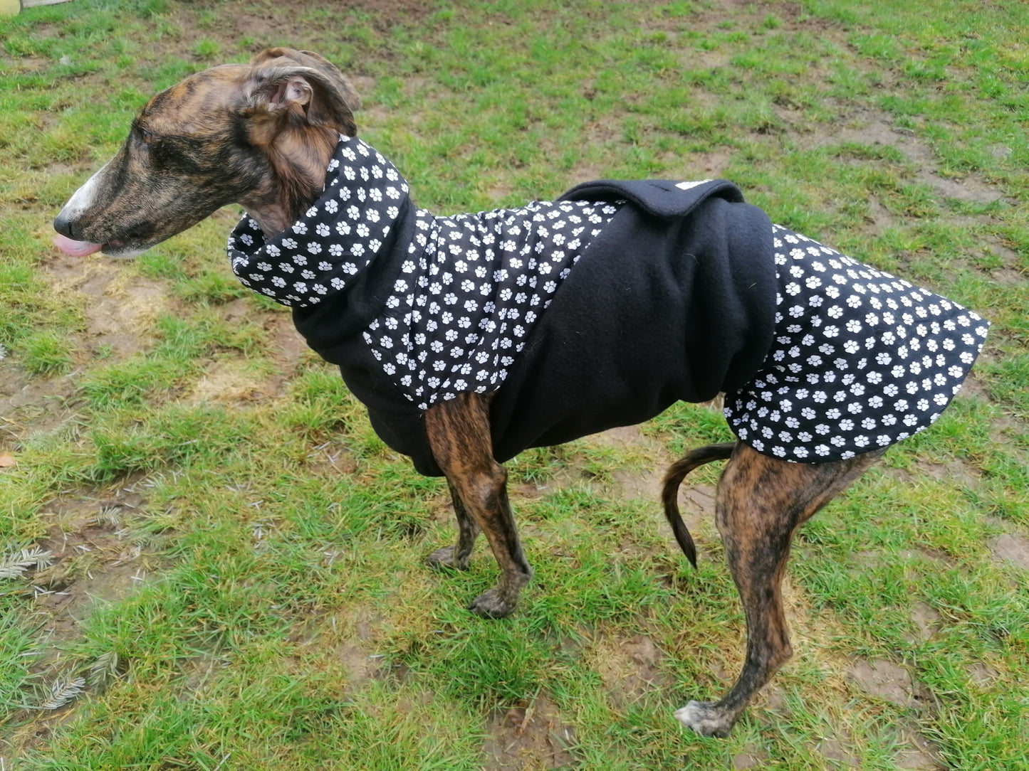 Stoff und Fleece Mäntelchen wildes Pfötchen Größe S