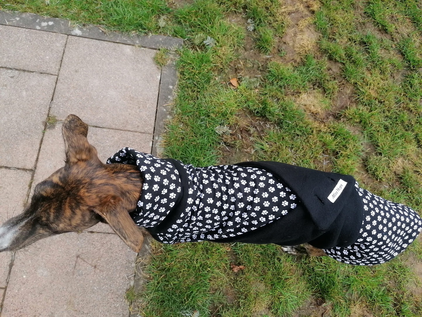 Stoff und Fleece Mäntelchen wildes Pfötchen Größe S