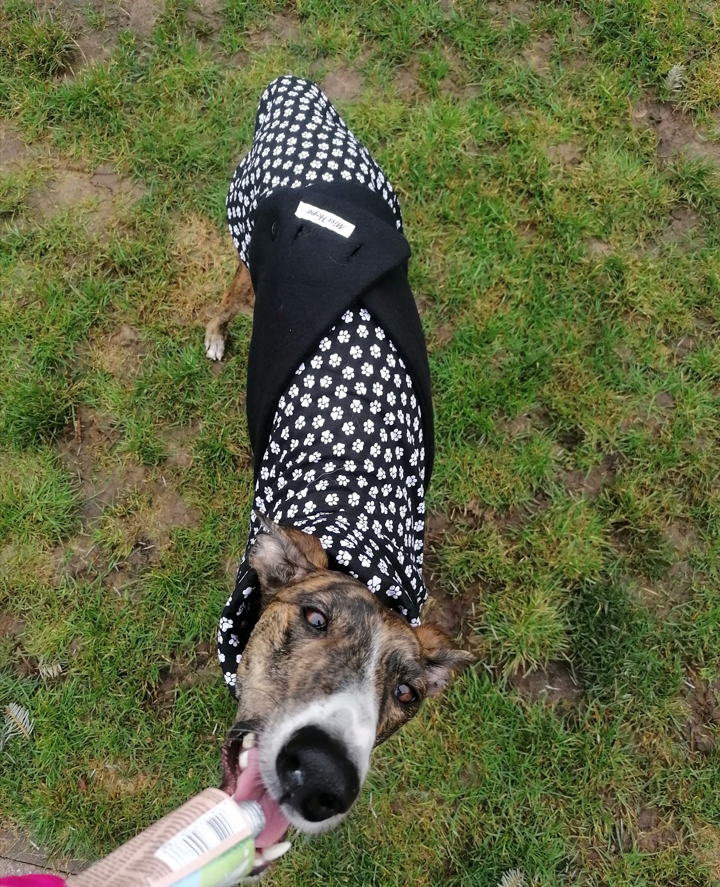 Stoff und Fleece Mäntelchen wildes Pfötchen Größe S