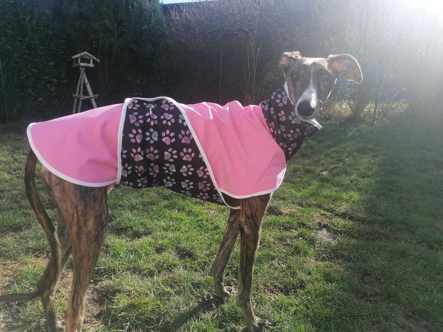 Regenmäntelchen Pfötchengirl Größe S