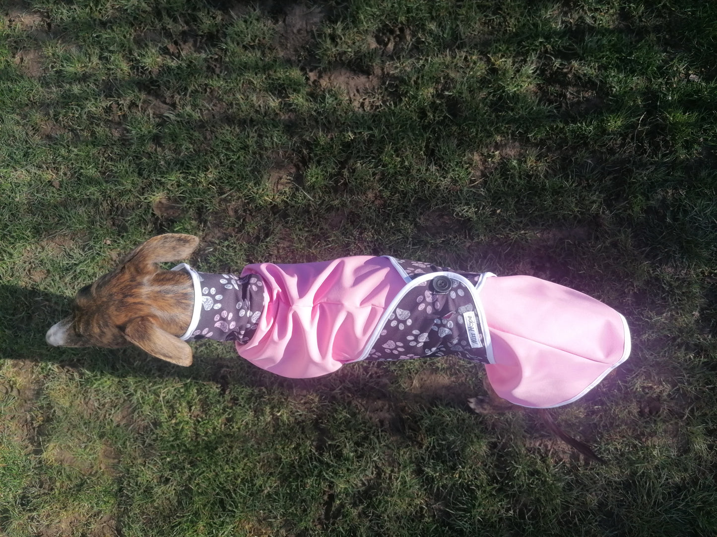 Regenmäntelchen Pfötchengirl Größe S