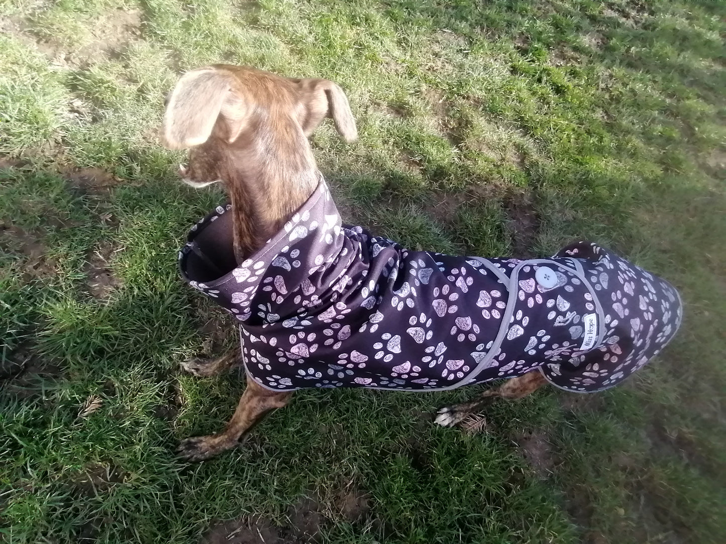 Regenmäntelchen Pfötchen Größe S