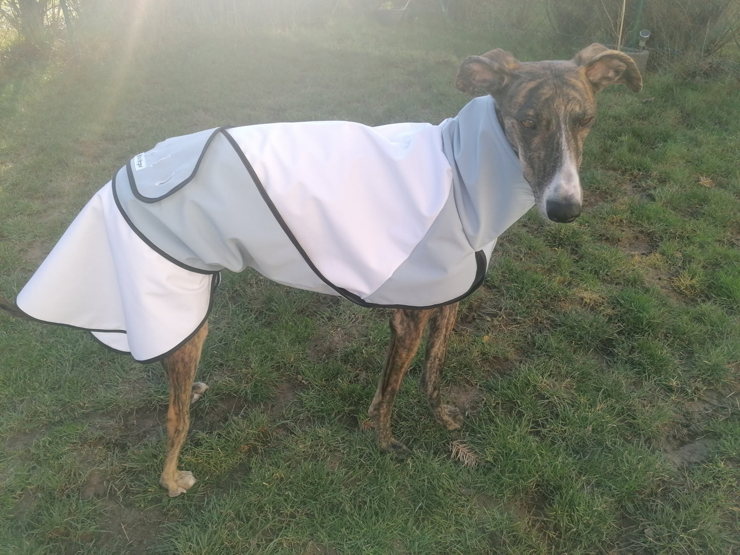 Regenmäntelchen Fit Größe L