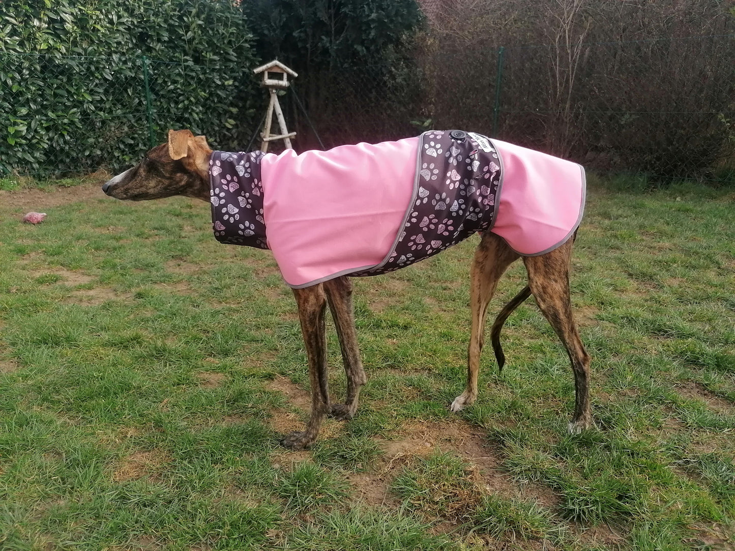 Regenmäntelchen Pfötchengirl  zwei Größe S