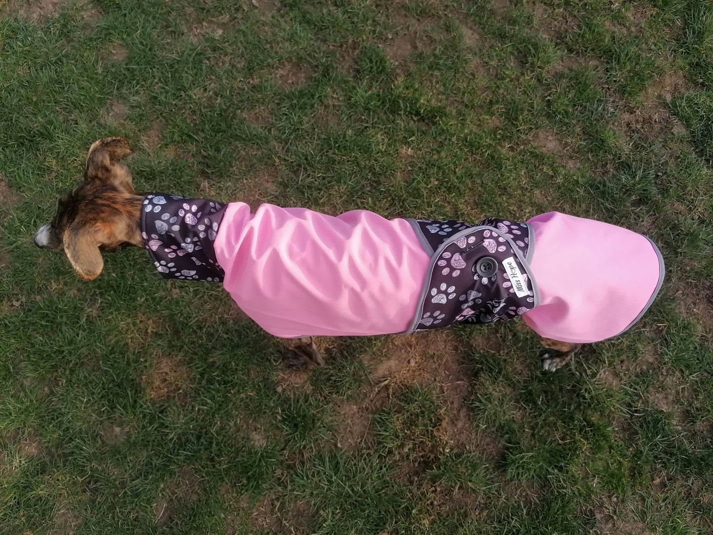 Regenmäntelchen Pfötchengirl  zwei Größe S