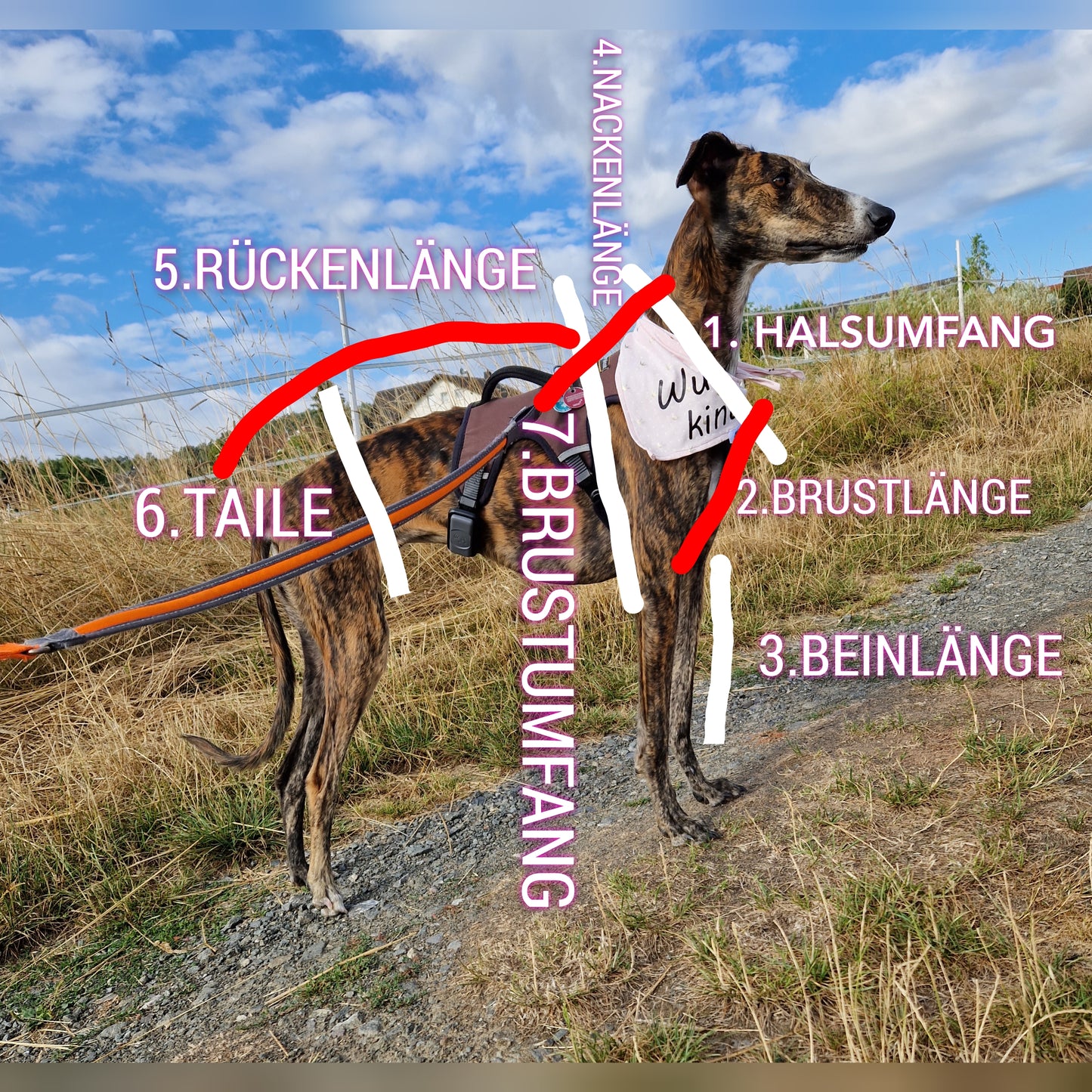 Longsleeve Prison Blues