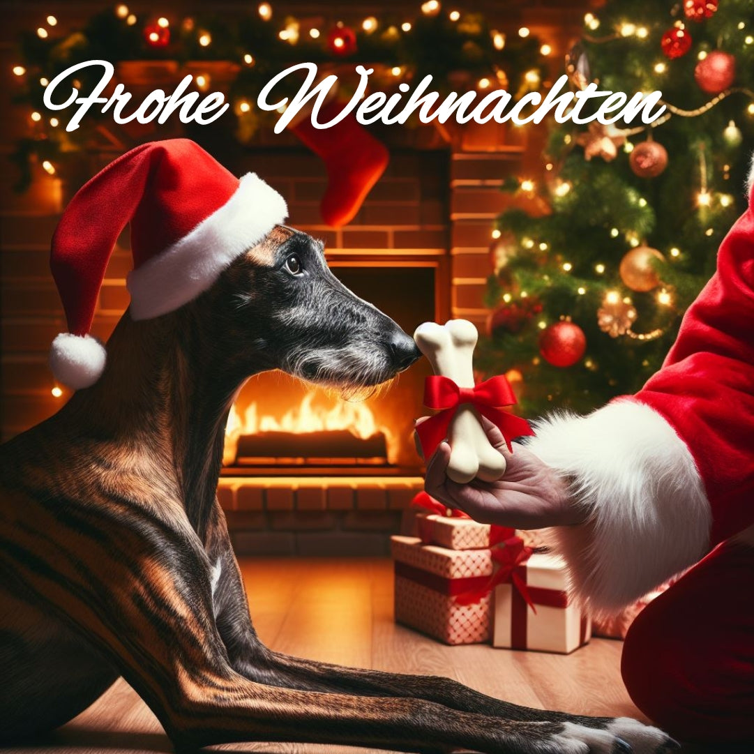 Weihnachtsspendenaktion Parenas Pfotenhilfe CH 2023