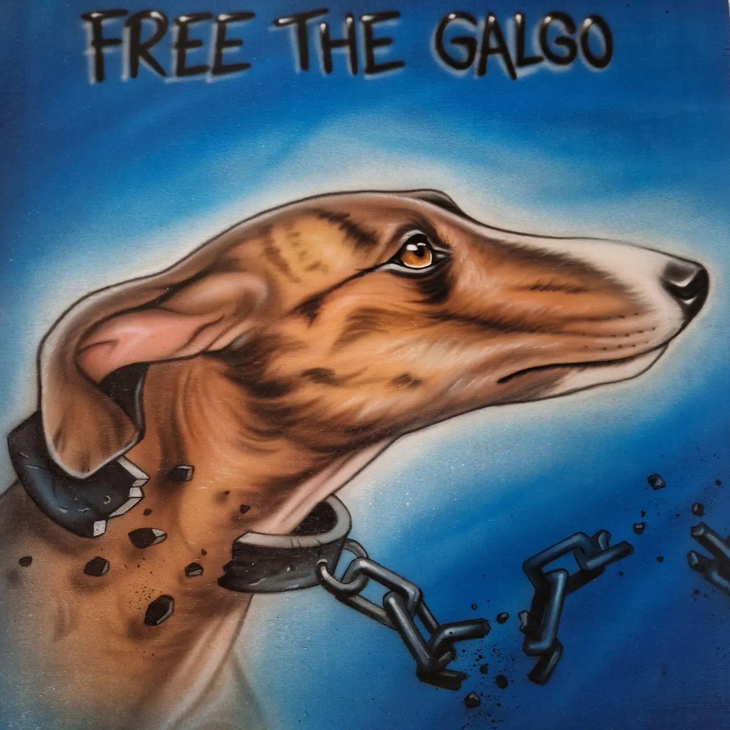Free the Galgo