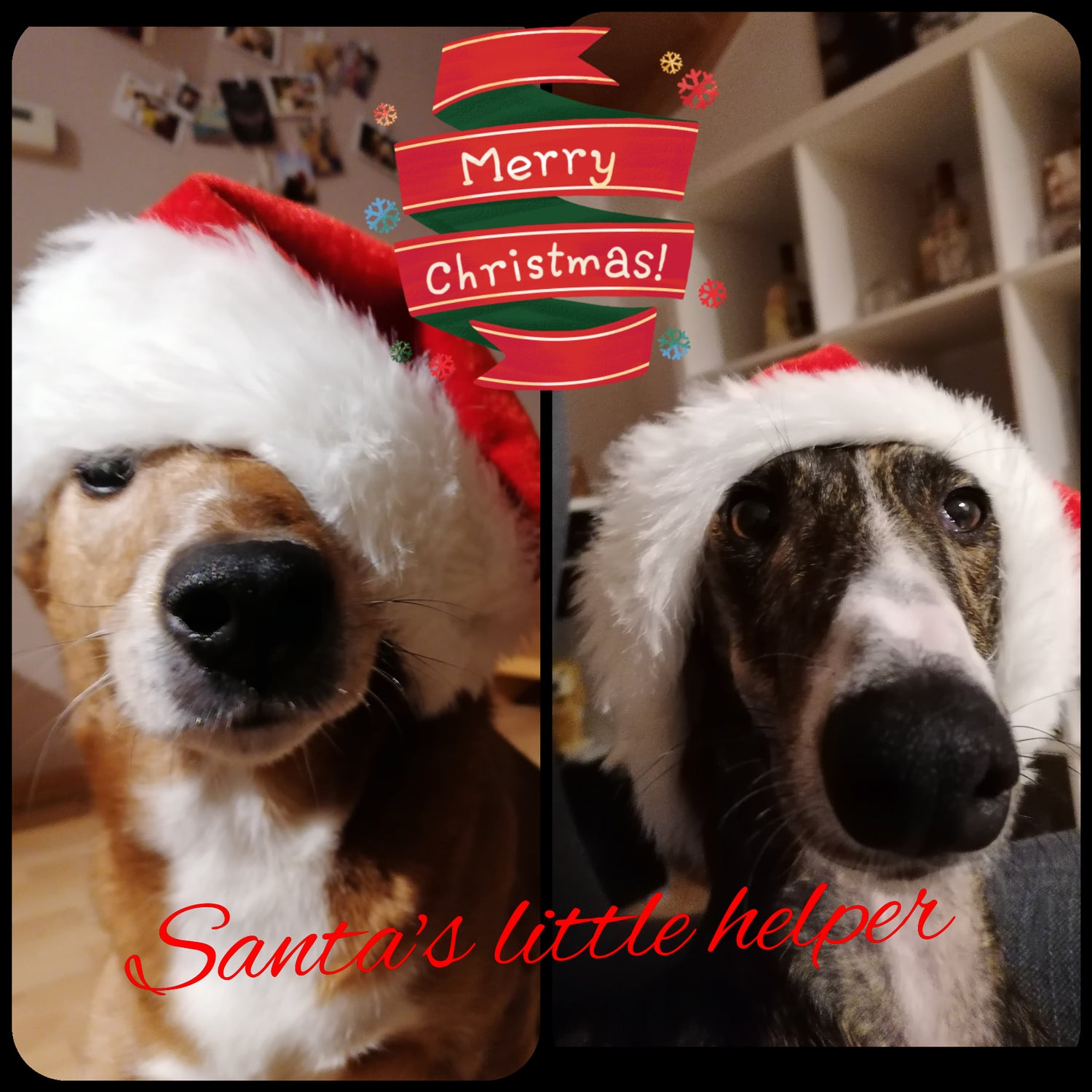 Weihnachten