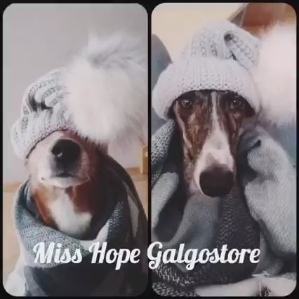 Weihnachtsspendenaktion 2022 Galgo Friends