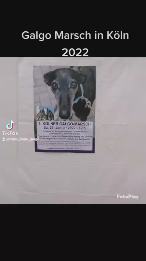 Galgomarsch Köln 2022