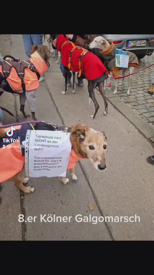 Kölner Galgomarsch 2023