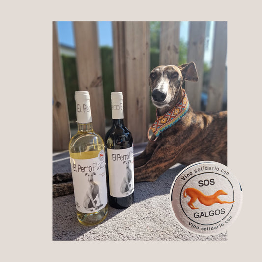 Wein SOS Galgos in Spanien entdecken 10.09.2024