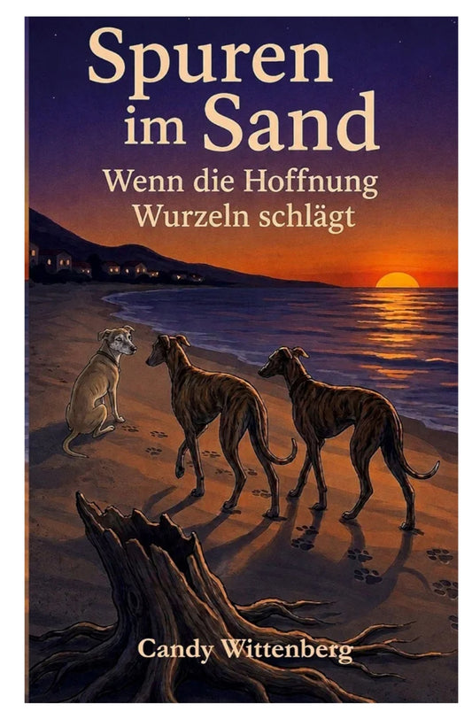 Buch Roman Spuren im Sand wenn die Hoffnung Wurzeln schlägt