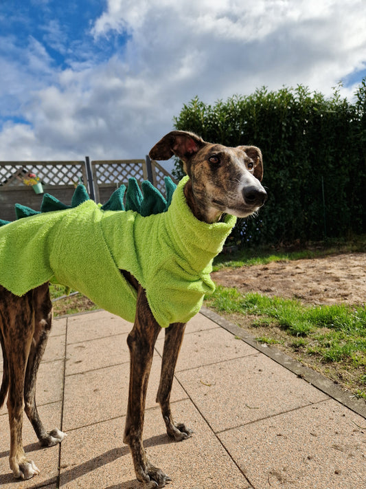 Bademantel little Dinodog